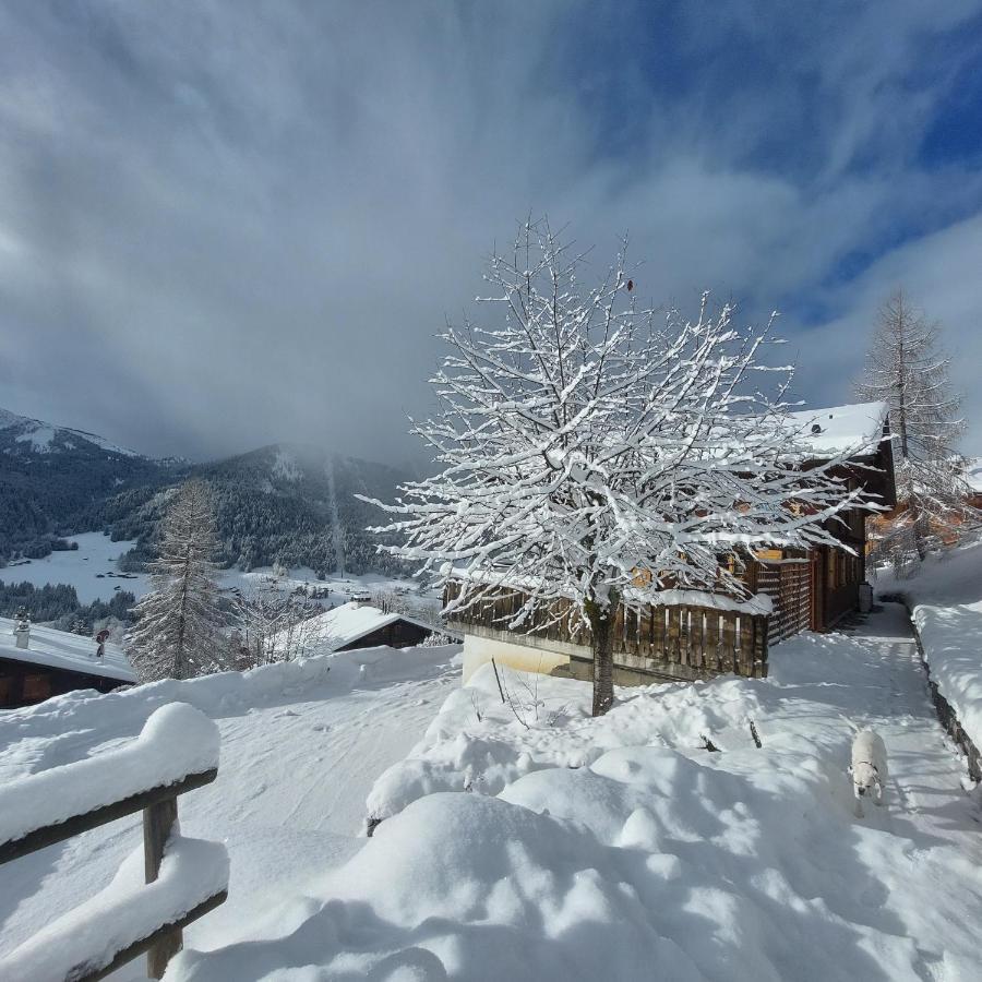 Chambre D'Hotes L'Ours Bleu Les Diablerets Zewnętrze zdjęcie