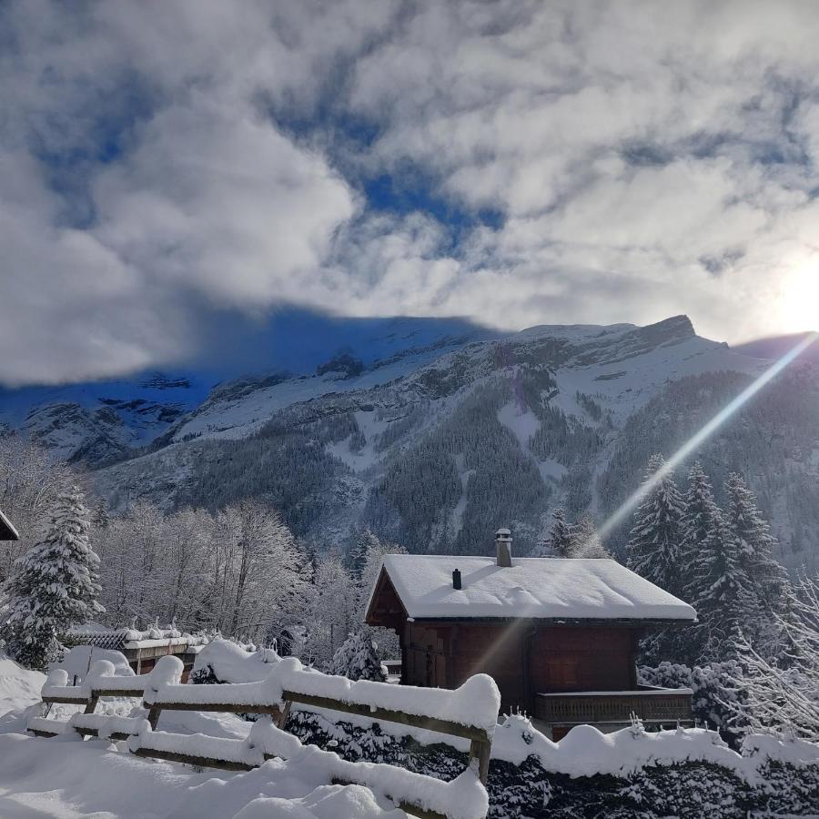 Chambre D'Hotes L'Ours Bleu Les Diablerets Zewnętrze zdjęcie